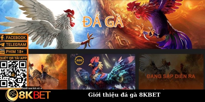 Giới thiệu đá gà 8KBET