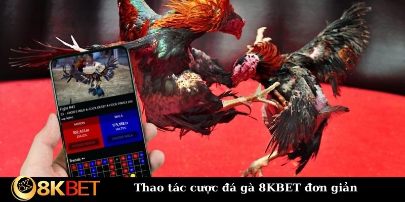 Thao tác cược đá gà 8KBET đơn giản