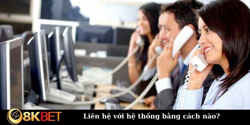 Liên hệ với hệ thống bằng cách nào?