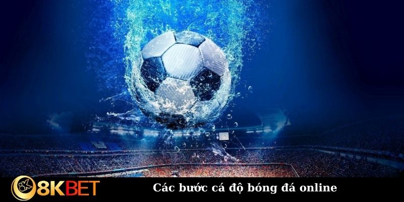 Các bước cá độ bóng đá online